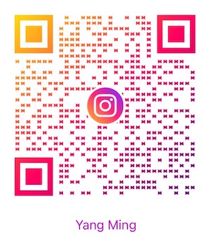 トレーラー　『YANG MING LINE』未使用 トレーラー 『YANG MING LINE』未使用