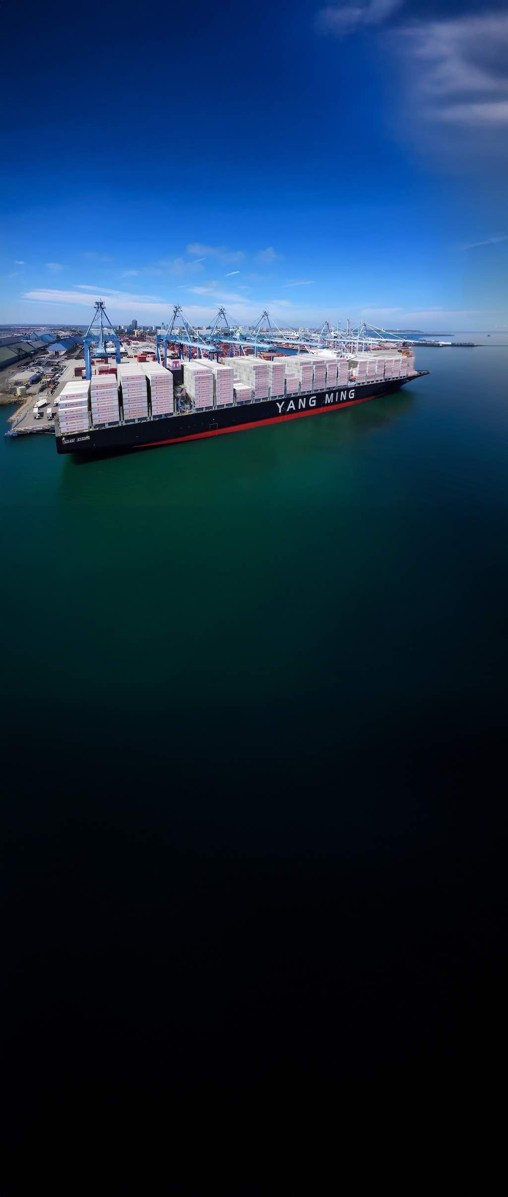 YangMing Marine Transport Corp.